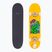 Deskorolka klasyczna Fish Skateboards Beginner Superior 8.0"