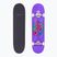 Deskorolka klasyczna Fish Skateboards Beginner Huron 8.0"