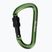 Karabinek Salewa D-Shape Carbiner With Screw green