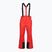 Spodnie narciarskie męskie 4F Fnk M1155 red