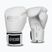 Rękawice bokserskie StormCloud Muay Thai Blizzard 2.0 white/silver