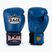 Rękawice bokserskie RAJA BOXING Single Standard Genuine Leather blue