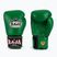 Rękawice bokserskie RAJA BOXING Single Standard Genuine Leather green