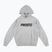 Bluza męka PROSTO Biolog Hoodie gray