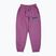 Spodnie męskie MANTO Varsity purple