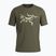 Koszulka męska Arc'teryx Ionia Merino Wool Logo tatsu/ray