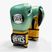 Rękawice bokserskie Cleto Reyes Velcro Sparring metalic green/gold wbc