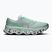 Buty do biegania męskie On Cloudmonster 3 brook/flurry