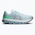 Buty do biegania męskie On Cloudflow 5 flurry/wash
