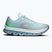 Buty do biegania damskie On Cloudflow 5 flurry/wash