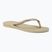 Japonki damskie Havaianas Slim sand grey / light golden