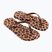 Japonki damskie Ipanema Animal Print beige/bronze/bronze