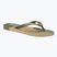 Japonki Havaianas Top Logomania Colors II green