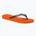 Japonki Havaianas Brasil Logo sunset orange