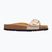 Klapki damskie Scholl Estelle Laminated taupe