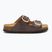 Klapki damskie Scholl Noelle Syntetic Reptile brown