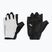 Rękawiczki rowerowe męskie Northwave Active Max Short Finger light grey