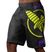 Spodenki treningowe Hayabusa Icon Fight black/yellow