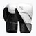 Rękawice bokserskie Hayabusa E1 Boxing white/silver