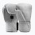 Rękawice bokserskie Hayabusa T360 Leather white