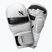 Rękawice grapplingowe Hayabusa T3 Hybrid white/black