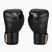 Rękawice bokserskie Hayabusa T3 black/gold