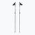 Kije nordic walking Fizan R-Evolution beige