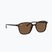 Okulary przeciwsłoneczne Ray-Ban Leonard tortoise/brown polarized