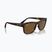 Okulary przeciwsłoneczne Ray-Ban RB4428 havana matt/brown polarized