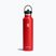 Butelka termiczna Hydro Flask Standard Flex Straw 620 ml goji