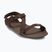 Sandały barefoot męskie Xero Shoes Z-Trek brown