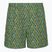 Spodenki męskie Royal Robbins All-In algae fish pt