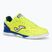 Buty piłkarskie męskie Joma Top Flex Rebound IN yellow/royal