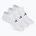 Skarpety męskie SKECHERS Microfiber Non Terry No Show 3 pary white traditional