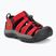 Sandały dziecięce KEEN Newport H2 ribbon red/gargoyle