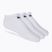 Skarpety Nike Everyday Lightweight No Show 3 pary white/black