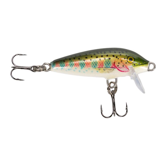 Wobler Rapala Floater rainbow trout 2