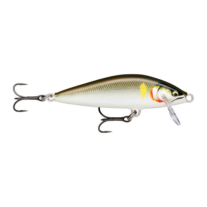 Wobler Rapala Countdown Elite CDE55 GDAY gilded ayu 2