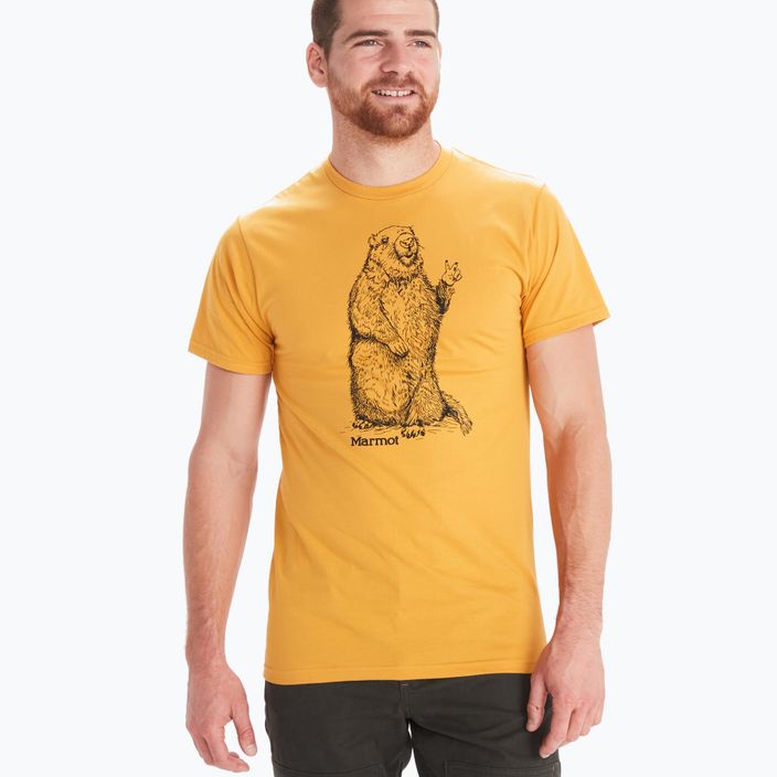 Koszulka męska Marmot Peace yellow gold 3