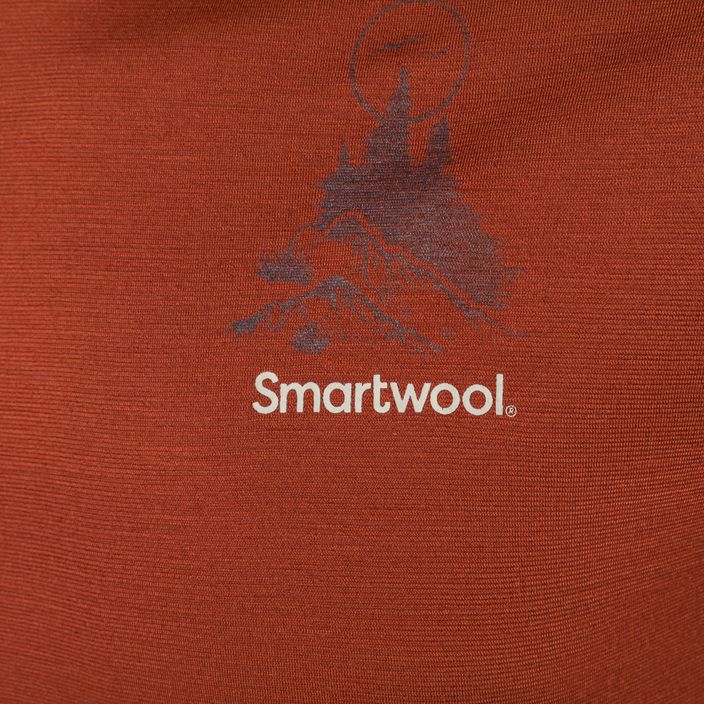 Koszulka trekkingowa męska Smartwool Wilderness Summit Graphic Tee brązowa SW016673J33 6
