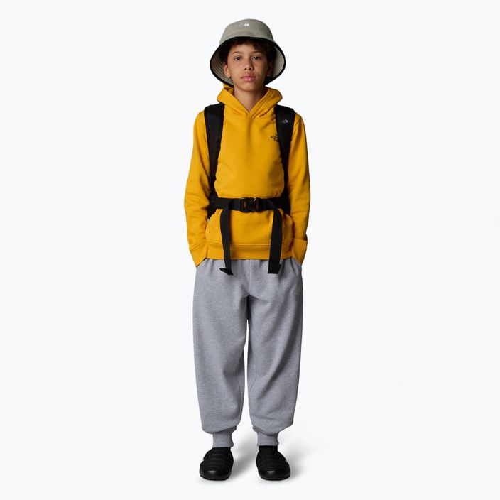 Bluza dziecięca The North Face Teen Redbox Regular P/O summit gold 2