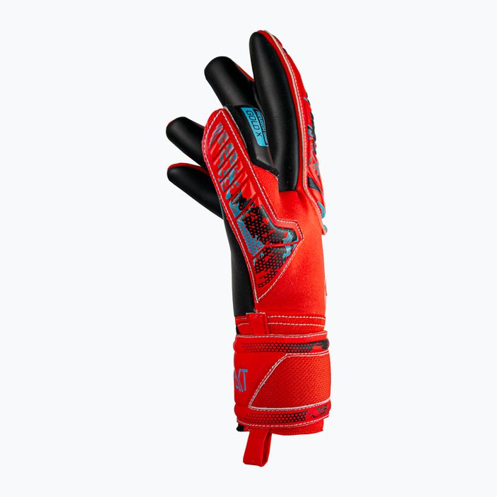 Rękawice bramkarskie Reusch Attrakt Gold X Evolution Cut Finger Support bright red/future blue/black 6