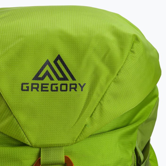 Plecak wspinaczkowy Gregory Alpinisto 35 l lich green 5