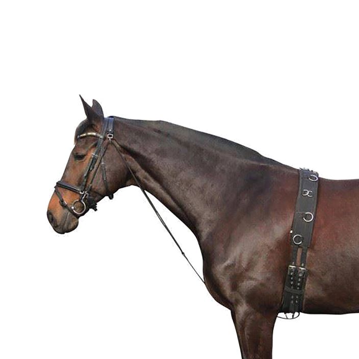 Czambon dla konia York 180202 czarny 2