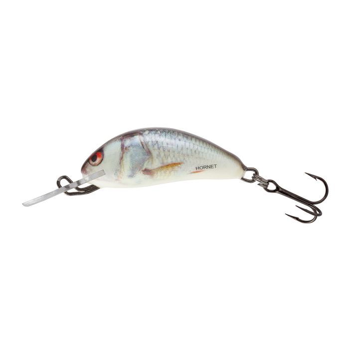 Wobler Salmo Hornet FLO real dace 2