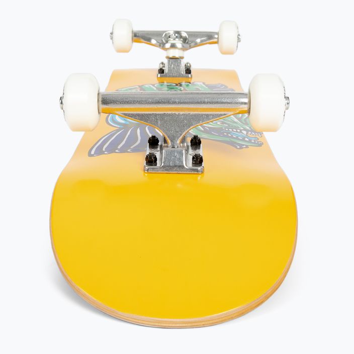 Deskorolka klasyczna Fish Skateboards Mason Beginner 8.0” 5