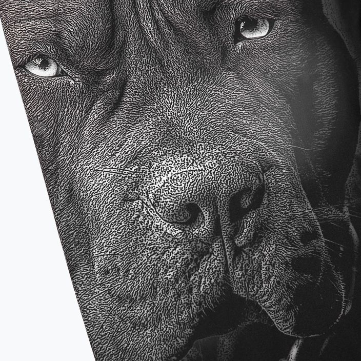 Legginsy męskie Pitbull Born in 1989 black 3