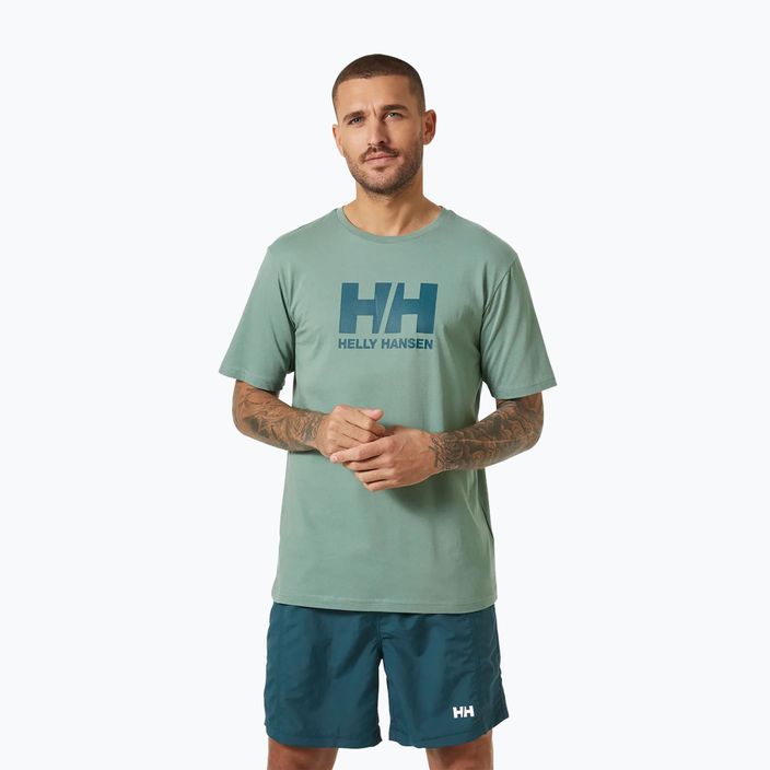 Koszulka męska Helly Hansen HH Logo cactus