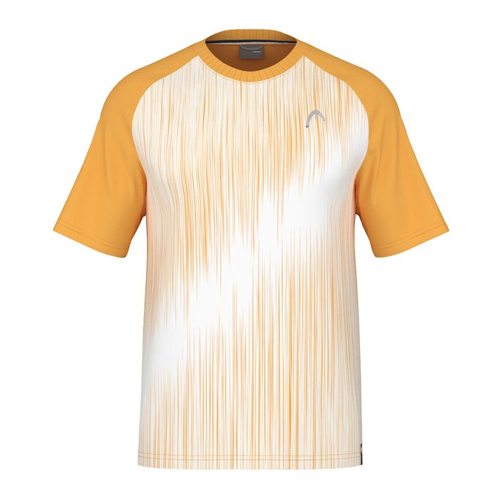 Koszulka tenisowa męska HEAD Performance print perf m/banana 2