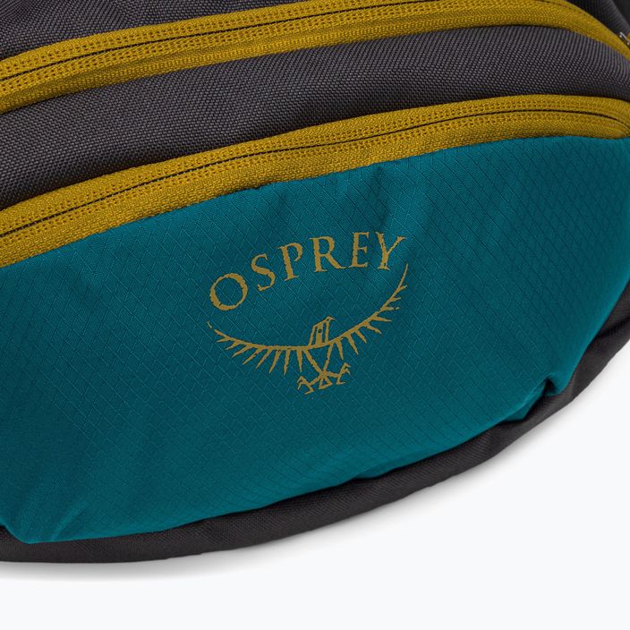 Saszetka nerka Osprey Daylite Waist deep peyto green/tunnel vision 6